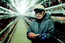 <전라도 농업 선구자 -24. 화순 조기주씨>