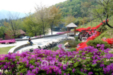 화순군, 특색있는 산림복지 서비스 나선다