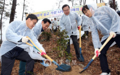 숲이 돈이 되는 아름다운 전남 만들자