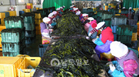 <12>전남 수산물 유통·가공 현주소