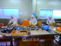 <12>전남 수산물 유통·가공 현주소