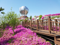 광양시, 구봉산 전망대 관광명소로 각광