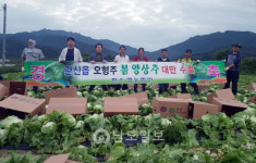 장흥군, 봄 양상추 25t 대만 수출 물꼬 열어