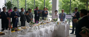 중흥 부산 사하 구평 중흥S-클래스 인기