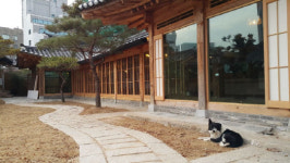 가심비 열풍에 나만을 위한 콘텐츠 각광