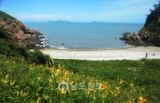 <21>소박함 그대로 영광 송이도