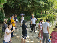 남도한바퀴 타고 진도로 힐링여행 떠나요