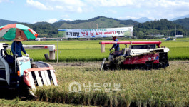 순천 해룡면 전국 첫 노지 벼베기
