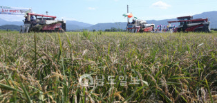 순천시 해룡면 전국 첫 벼베기