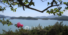 탁 트인 바다 조망이 한 눈에…고흥 도화 더수연안길 어부림