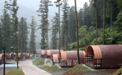 그곳에 가면 힐링(4)국내 최대 사유림 숲속의 비밀정원 보성 겸백 윤제림