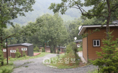 그곳에 가면 힐링(4)국내 최대 사유림 숲속의 비밀정원 보성 겸백 윤제림