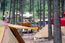그 곳에 가면 힐링(5) 모험, 휴양, 힐링1번지 보성군 제암산 자연휴양림