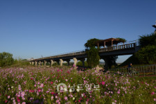 한진수 남도일보 시민기자의 포토에세이광주 유일 6.25전적지 옛 산동교의 가을