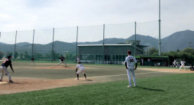 제4회 보성군수배 생활체육 야구대회 성료