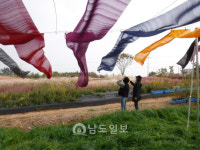 공간을 조각하다…함평군 억새정원 개장