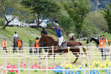 제2회 정남진장흥 전국승마대회