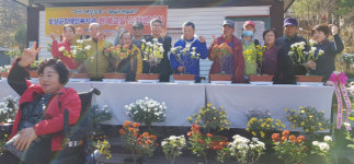 보성군장애인복지관, 원예교실 국화 전시회 성황