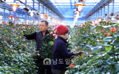 강진군 화훼메카 1번지 육성 집중