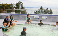 보성군, 율포해수녹차센터…뜨거운 노천욕 즐긴다!