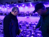 아파트 지하에 희망 버섯자란다