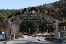 새해 첫 여행… 전남서 휴식·보양 한방에
