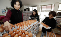 북구, 명절대비 식용란 수집판매업소 지도점검