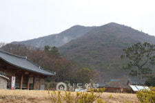 <전남 관광지 순환버스 남도한바퀴타보니>