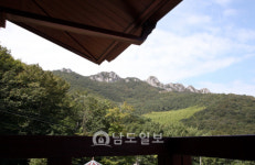 그곳에 가면 힐링<8> 피톤치드, 음이온 등 다양한 국내 최대 규모 고흥 팔영산 편백 치유의 숲