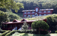 그곳에 가면 힐링 피톤치드, 음이온 등 다양한 국내 최대 규모 고흥 팔영산 편백 치유의 숲