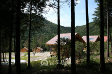 그곳에 가면 힐링<8> 피톤치드, 음이온 등 다양한 국내 최대 규모 고흥 팔영산 편백 치유의 숲