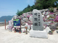 봄꽃보다 아름다운 섬에 하화도·관매도·선도선정