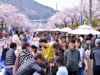 영취산진달래 축제 등 여수 봄꽃 축제 성료