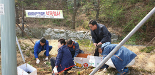 광양시 광영동 상공인연합회, 식목일 봄꽃 500여 본 심어