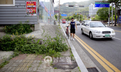 순천시 봉화터널 연결 도로 도면과 달리 시공