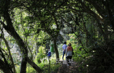 그곳에 가면 힐링 고흥 쑥섬 그곳엔 비밀의 정원이 숨겨져 있다.
