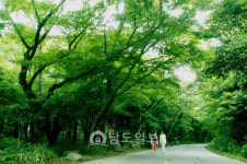 남도한바퀴 타고 남도 아름다움에 푹∼