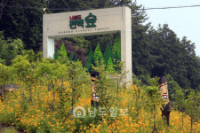 그곳에 가면 힐링고흥 봉래산 편백림