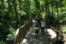 보성제암산자연휴양림 더늠길한국관광공사 8월 걷기 좋은길 선정