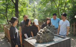 보성제암산자연휴양림 더늠길 수석 감상하세요