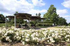 순천만국가정원, 정원산업의 미래로 유럽의 정원을 가다 ④영국 위슬리가든