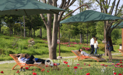 순천만국가정원, 정원산업의 미래로 유럽의 정원을 가다 ⑥순천만정원