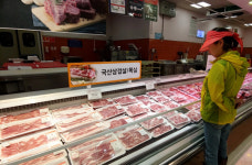 아프리카돼지열병 확산…돼지고기 값 들썩