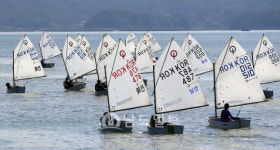 2019 보성군수배 비봉마리나 전국요트대회 성료