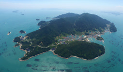 그곳에 가면 힐링 완도 생일도