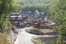 웰니스 시대, 보성에서 즐겨보세요!