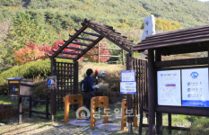 그곳에 가면 힐링<15>고흥 팔영산-가을 끝자락서 만난 오색 단풍