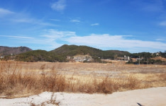 상포지구 미온행정 여수시, 뒤늦게 칼 빼드나