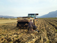 영암군, 농기계 임대사업 실적 눈에띄네