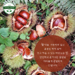 광양시, 강소농 온라인 실전교육